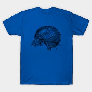 Brain Diagram Two - Anatomy T-Shirt